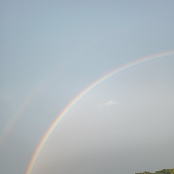 Meet your Posher, Amber - Picture 1 of 1